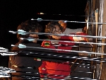 Photos prises pendant la sÃ©ance de tir de nuit du 9 juillet 2011
